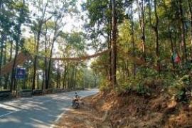 সৰীসৃপৰ বাবে উলোমা সেঁতু 