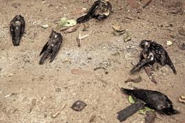 জাৰি কৰা হৈছে হাই এলাৰ্ট