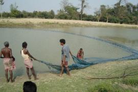 টিংখাঙবাসী