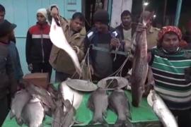 ১৫০০ কেজি মাছ বিক্রীৰ টাৰ্গেট কৰিছে ফিছফেডে