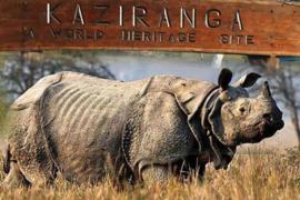 কাজিৰঙা ৰাষ্ট্ৰীয় উদ্যান এলেকাত জাৰি কৰা হৈছে ১৪৪ ধাৰা