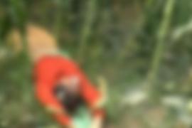 jj
