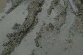 ৰঙিয়াত পথ নিৰ্মাণত ব্যাপক দুৰ্নীতি