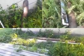 কোটি টকীয়া পানী যোগান আঁচনি ধোঁৱা চাঙত