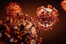 ৰাজ্যত ২৪ঘণ্টাত ক'ৰণাত আক্ৰান্ত ৩,২৯৯গৰাকী লোক 