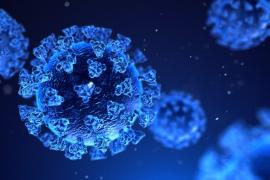 বিগত ২৪ ঘণ্টাত ৰাজ্যত আক্ৰান্ত ৩,৬৫০গৰাকী লোক