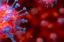 বিবাহ অনুষ্ঠানেই এতিয়া কাল হৈছে গহপুৰত