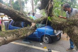 কাজিৰঙাত ভয়ংকৰ দুৰ্ঘটনা 