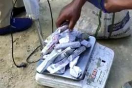 শিৱসাগত উদ্ধাৰ বৃহৎ পৰিমাণৰ গাঞ্জা 