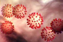 খুটাবাৰী অঞ্চলত দ্ৰুত হাৰত বৃদ্ধি পাইছে কৰ'ণা আক্ৰান্তৰ সংখ্যা