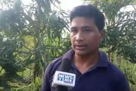 মাৰ্ঘেৰিটা বুঢ়ীদিহীং নৈৰ বালি চাপৰিত সেউজ বিপ্লৱৰ সূচনা