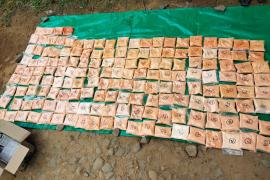 জব্দ ১৬ কোটি টকাৰ ড্ৰাগছ