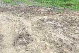 ৩৫ বছৰে জ্বলা-কলা খোৱাইছে এটা পথে 