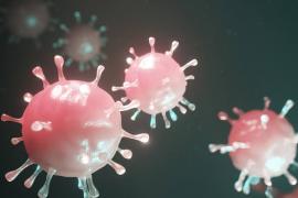 পুনৰ ভাৰতত বৃদ্ধি পালে কৰ’ণা আক্ৰান্তৰ সংখ্যা