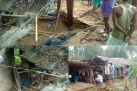 হাতীৰ গচকত শোৱাপাতিতে মৃত্যু এজন লোকৰ 