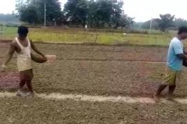 পানী নাই, শুকান পথাৰতে কৃষকে সিঁচলে ধানৰ বীজ 