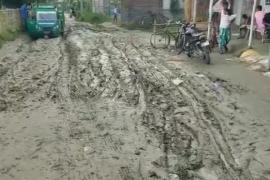 বোকা-পানী নেওচি অব্যাহত আছে জীৱন যাত্ৰা