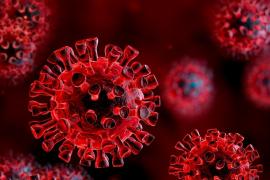 ২৪ ঘণ্টাত ৰাজ্যত ৬৫ জনৰ মৃত্যু 