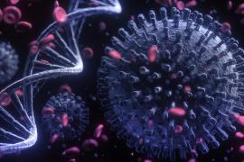 দৈনিক ১ লাখৰো অধিক লোক আক্ৰান্ত ক’ৰণাত