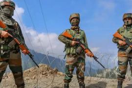 ভাৰতীয় সেনাৰ বিভিন্ন অনুসন্ধান অভিযানতো সহায় কৰিব এই মহিলা জোৱানে