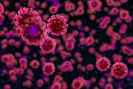 দেশত দৈনিক হাজাৰৰ আশে পাশে আছে ক’ভিডত মৃত্যু হোৱা লোকৰ সংখ্যা