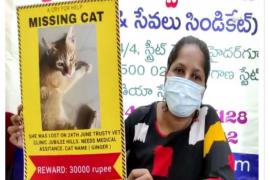 Hyderabad women announces 30,000 reward for anyone who will find her missing cat. Photo Source :ANI