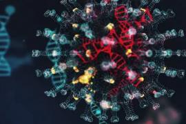 ক'ৰনা ভাইৰাছৰ ডেল্টা প্ৰকাৰৰ পাছত ভয়ংকৰ ৰূপ লৈছে ডেল্টা প্লাছে