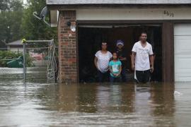 ভয়ংকৰ বানৰ কবলত পৰিছে নিউয়ৰ্ক