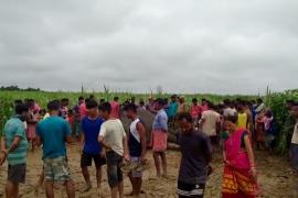 পশ্চিম কাৰ্বি আংলঙ উদ্ধাৰ বনৰীয়া হাতীৰ মৃতদেহ