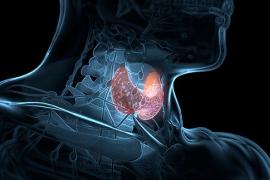 আপুনি থাইৰয়ডৰ সমস্যাত ভুগিছে নেকি? জানো আহক ঘৰতে পোৱা এবিধ মহৌষধৰ বিষয়ে