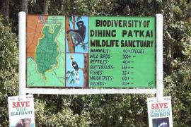  প্ৰকৃতিৰ ৰম্যভূমি, লুপ্তপ্ৰায় জীৱ-জন্তু, বিভিন্ন প্ৰজাতিৰ উদ্ভিদৰ আকৰ দিহিং পাটকাই