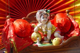  Those who keep the vrat on Krishna Janmashtami do these things, happiness and prosperity will come in life.