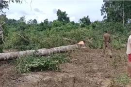 Arunachal open fire at Assamese Forest Officer