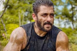 Salman Khan gets bitten by snake at Panvel farmhouse ahead of birthday