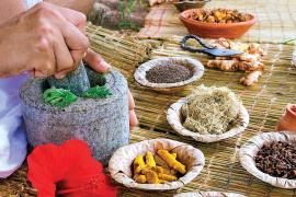 setting-up-of-traditional-medicine-gallakcentres-in-india-agreement-between-ministry-of-ayush-and-who-for-the-signed