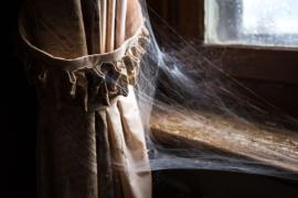 Spider webs in the house indicates trouble