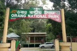 Orang National Park