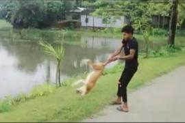 Tripura Dog