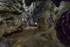 meghalaya's mawmluh cave