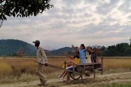 Assam