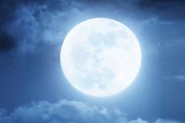 Purnima