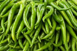 Green Chillies