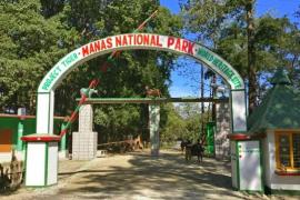 manas national park