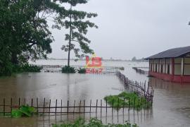 assam