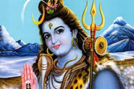 shiv