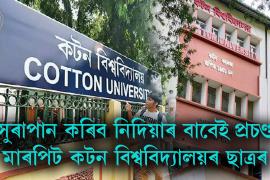 cotton university