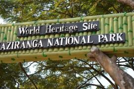 Kaziranga National Park