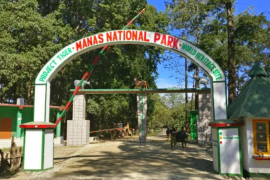 manas national park