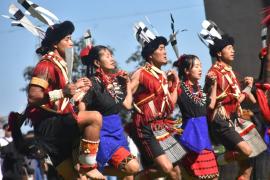 HORNBILL