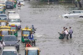 delhi